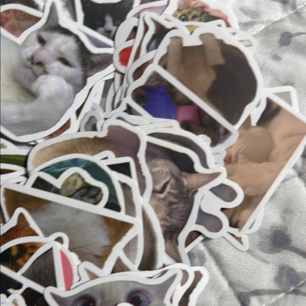 Cute Cat Sticker Pack - Picture 2 of 3